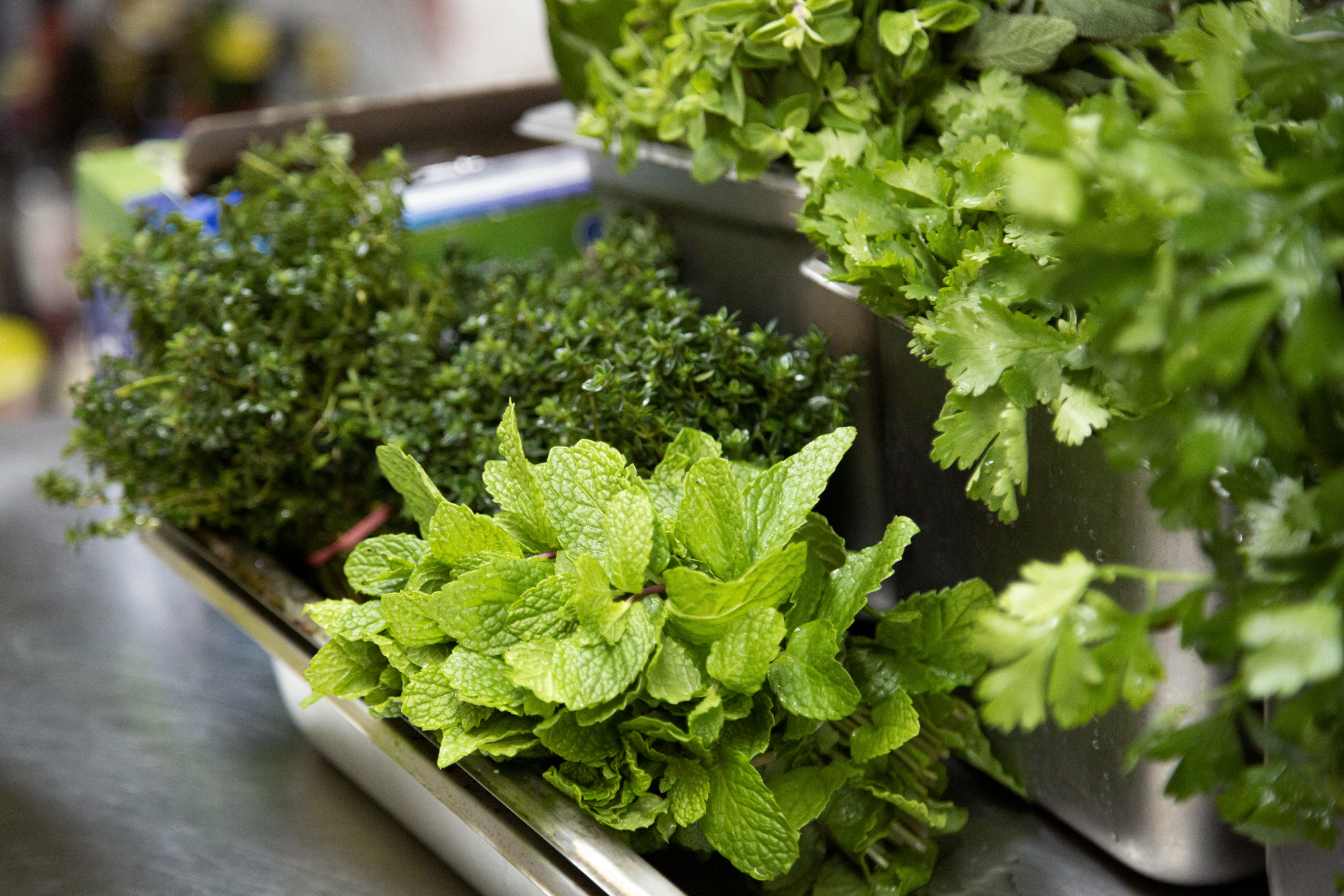 Fresh herbs used in Dux Gutz catering